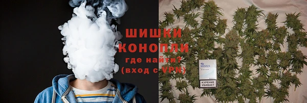 стаф Богданович