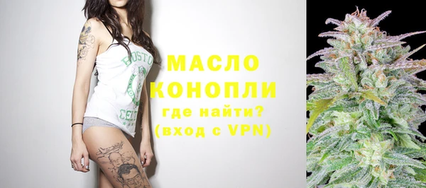 стаф Богданович