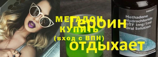 стаф Богданович
