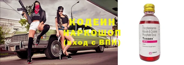 стаф Россошь