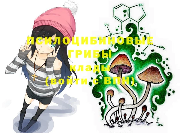 амфетамин Богородицк