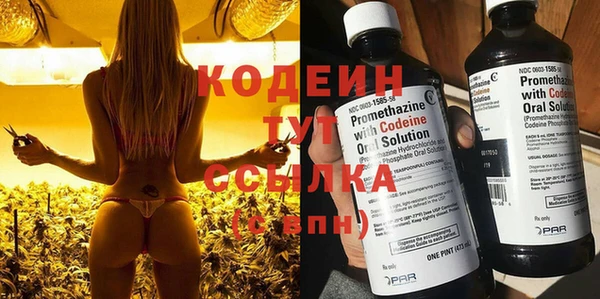 стаф Богданович
