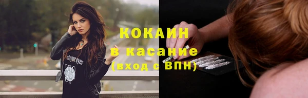 стаф Рославль
