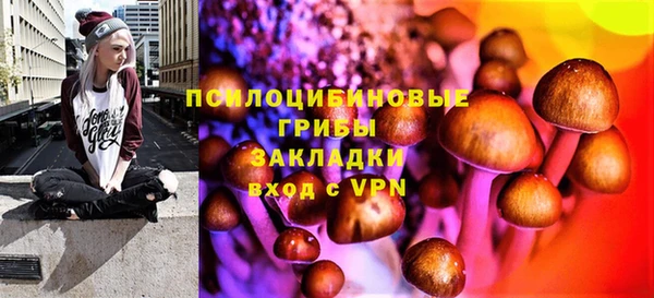 амфетамин Богородицк