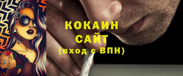 стаф Богданович